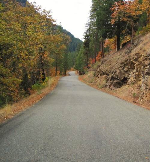 You know you've found a good road when there is no paint, no lines, no signs, no cars, and lots of everything else, color, nature, wildlife, fresh air, quiet.  Twenty miles of this connects the Scott River Valley and the Klamath River.